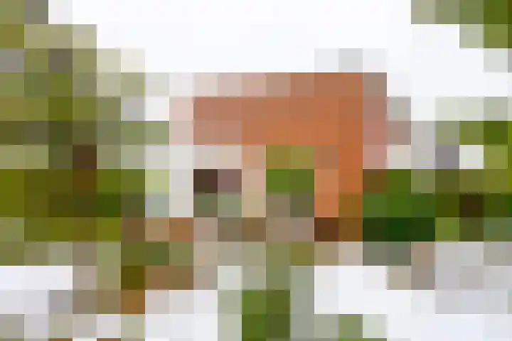 Elskamp 20 Odijk thumbnail 36