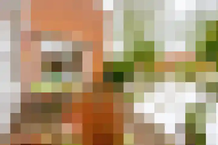 Elskamp 20 Odijk thumbnail 37