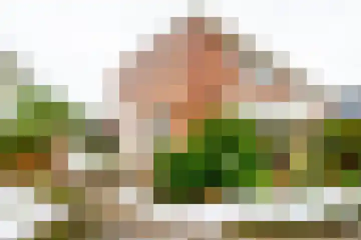 Elskamp 20 Odijk thumbnail 39