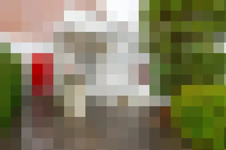 Elskamp 20 Odijk thumbnail 40