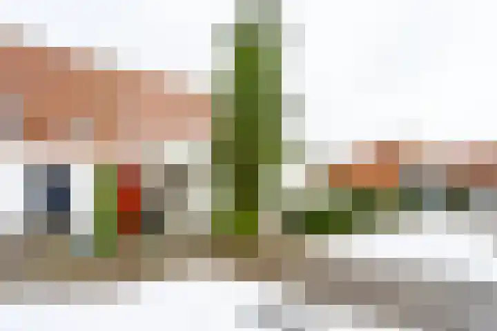 Elskamp 20 Odijk thumbnail 41