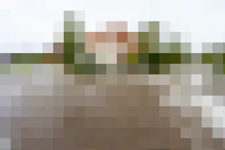 Elskamp 20 Odijk thumbnail 42