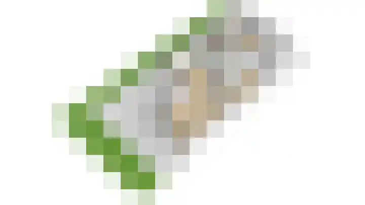 Elskamp 20 Odijk thumbnail 48