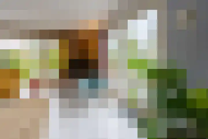 Elskamp 20 Odijk thumbnail 8