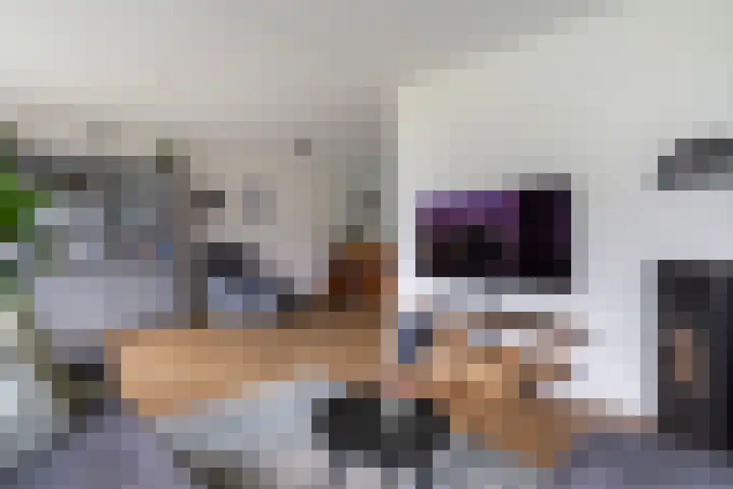Elskamp 26 Dalfsen thumbnail 10