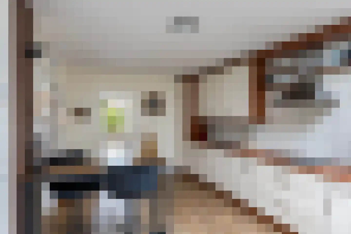 Elskamp 26 Dalfsen thumbnail 13