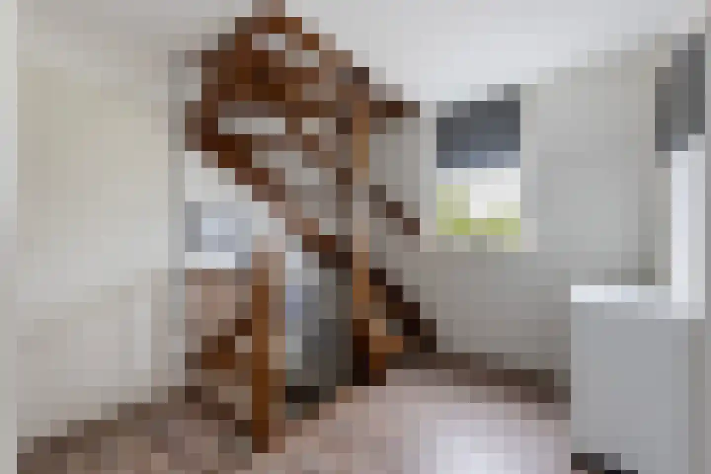 Elskamp 26 Dalfsen thumbnail 17