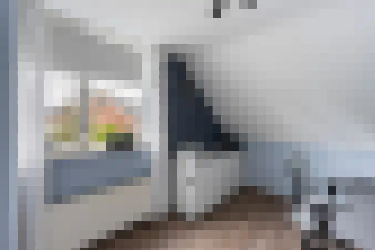 Elskamp 26 Dalfsen thumbnail 18