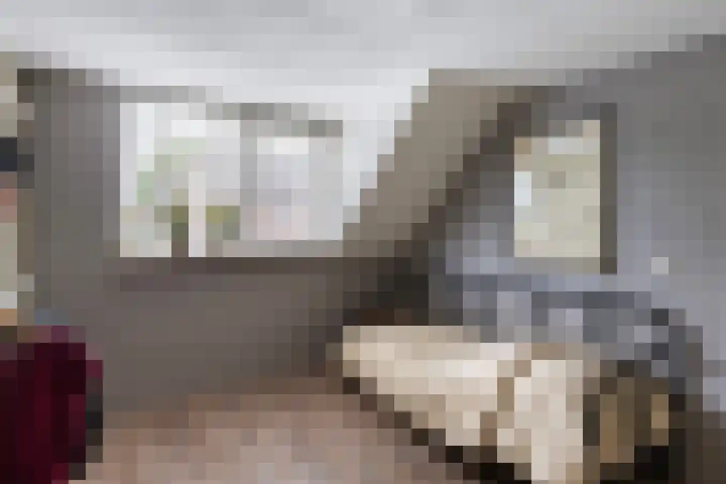 Elskamp 26 Dalfsen thumbnail 20