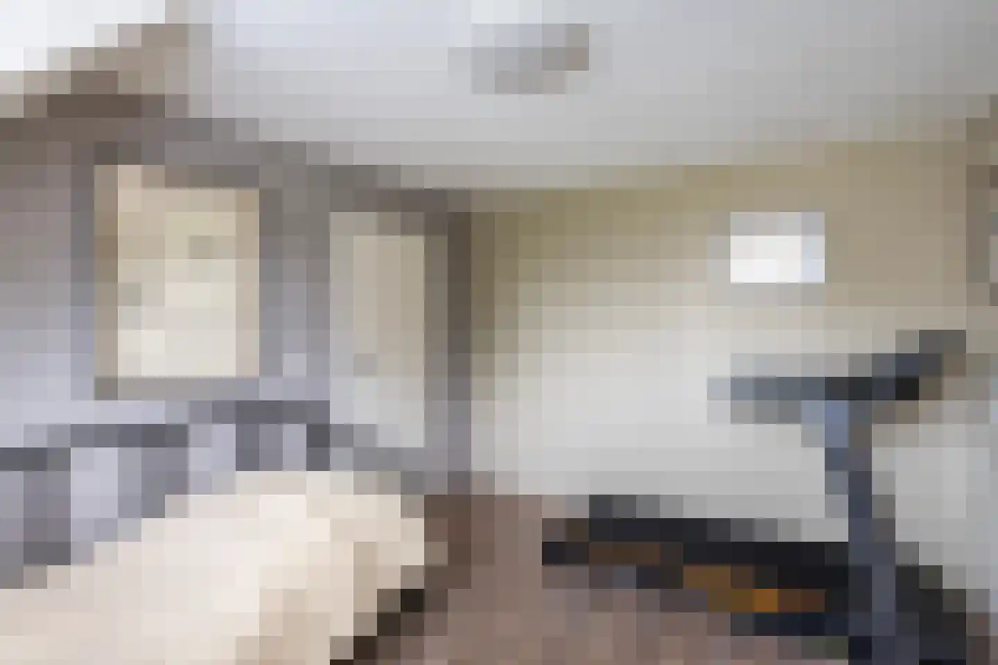 Elskamp 26 Dalfsen thumbnail 21