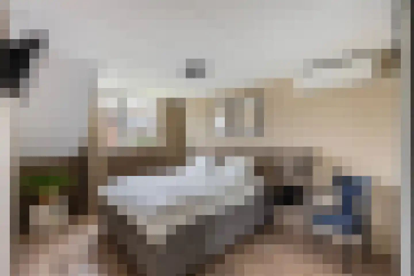 Elskamp 26 Dalfsen thumbnail 22