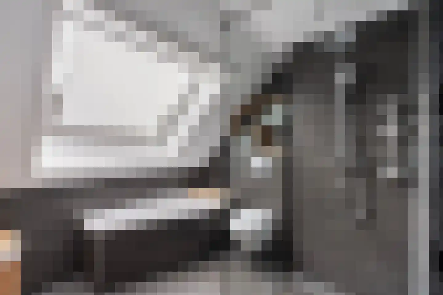 Elskamp 26 Dalfsen thumbnail 25
