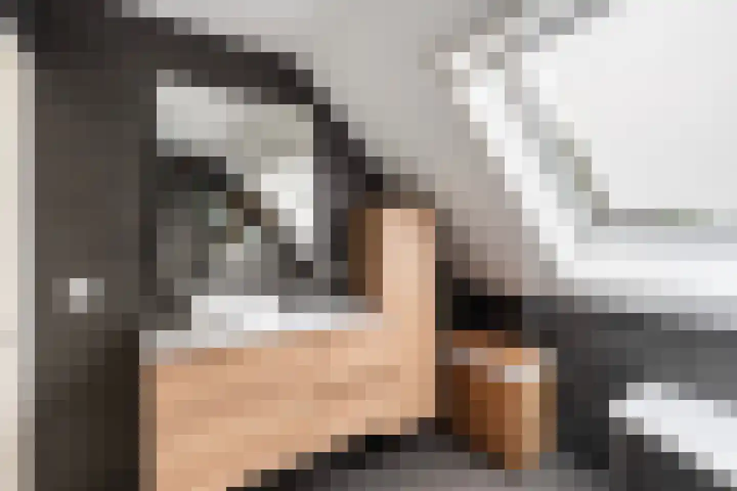 Elskamp 26 Dalfsen thumbnail 26