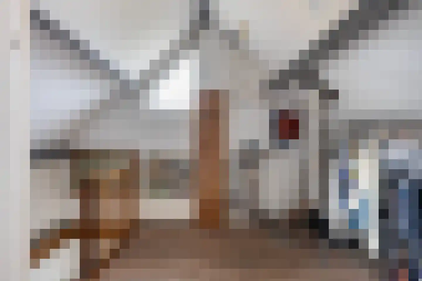 Elskamp 26 Dalfsen thumbnail 27