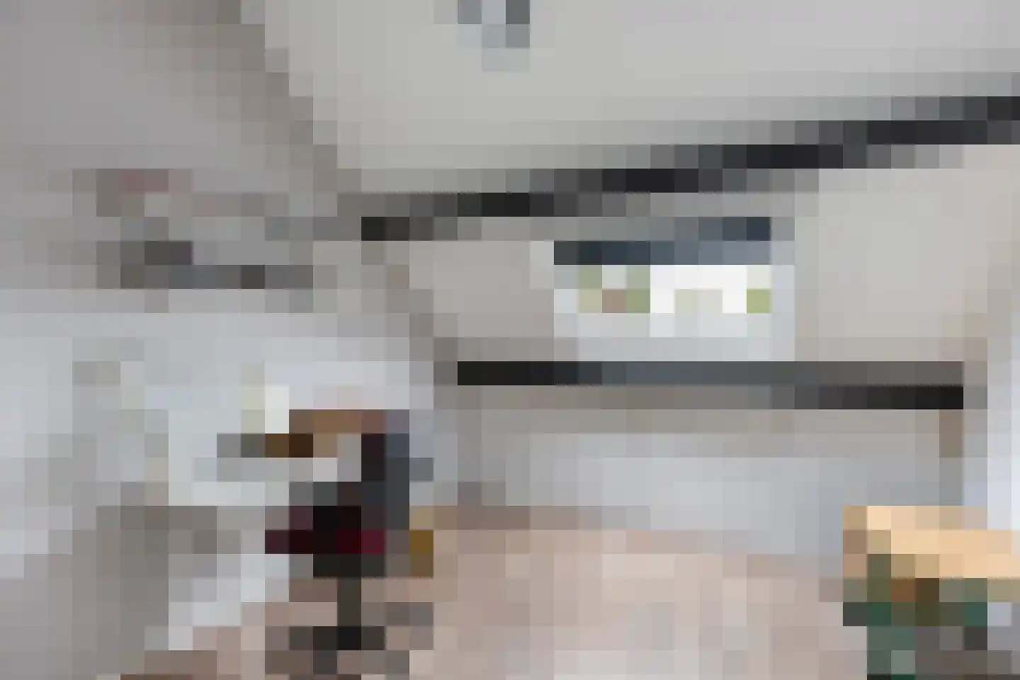 Elskamp 26 Dalfsen thumbnail 28
