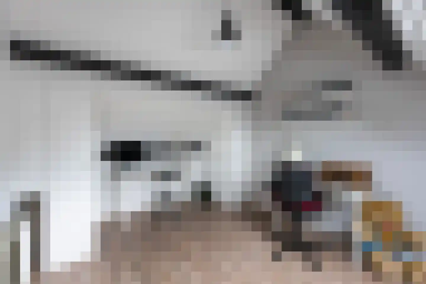 Elskamp 26 Dalfsen thumbnail 29