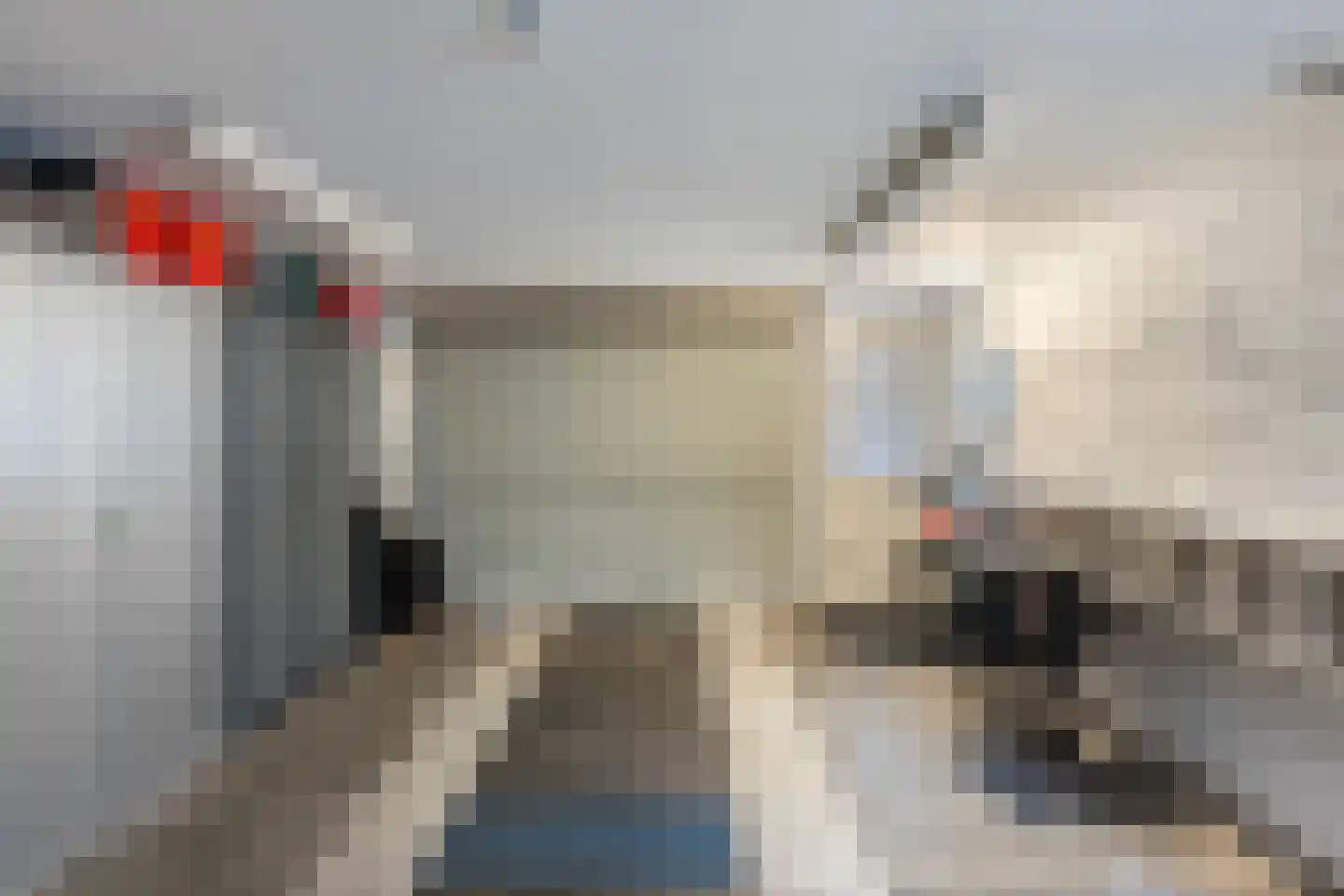 Elskamp 26 Dalfsen thumbnail 30