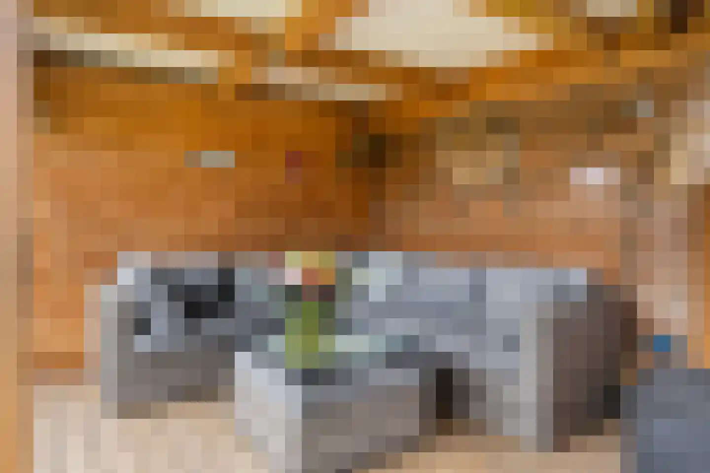 Elskamp 26 Dalfsen thumbnail 34