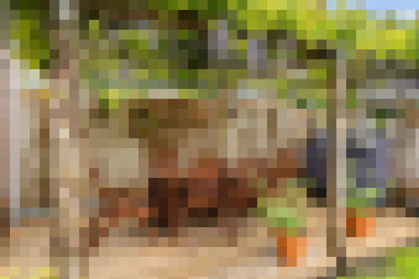 Elskamp 26 Dalfsen thumbnail 35