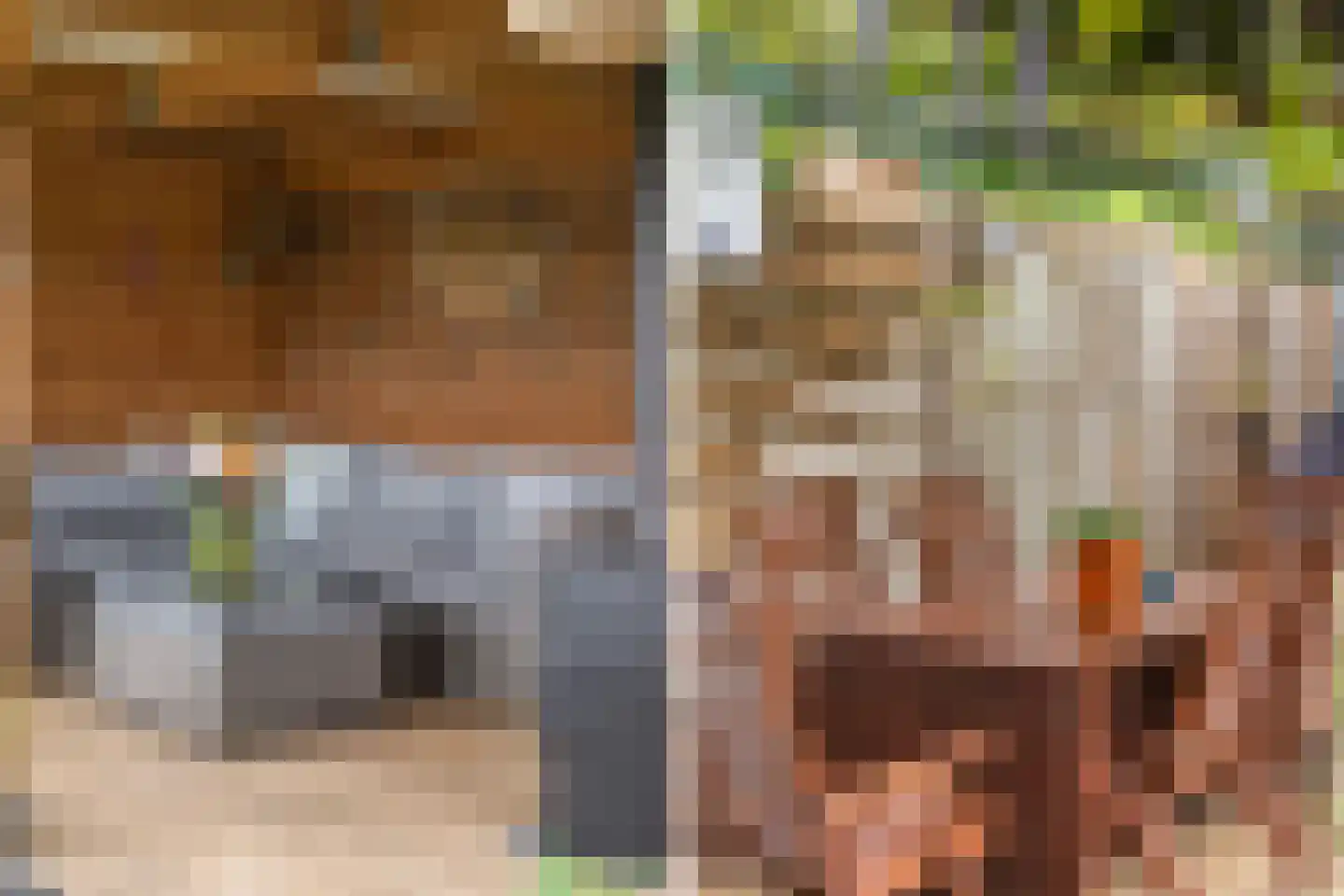 Elskamp 26 Dalfsen thumbnail 36