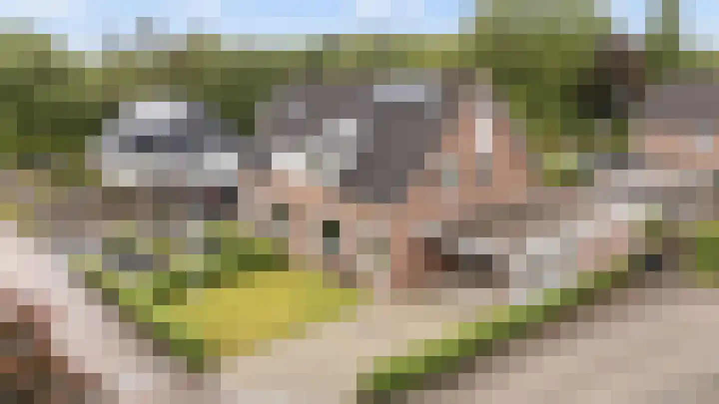 Elskamp 26 Dalfsen thumbnail 37