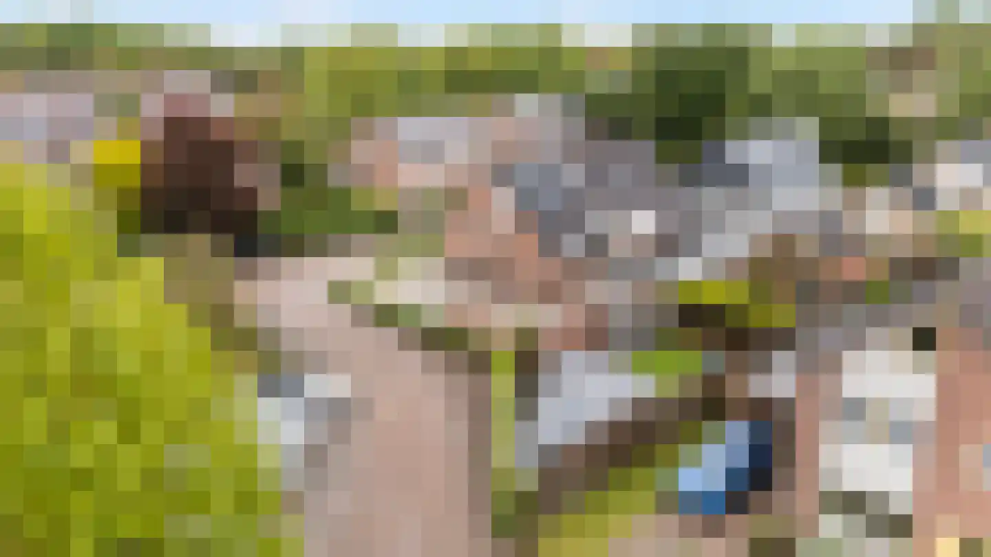 Elskamp 26 Dalfsen thumbnail 38