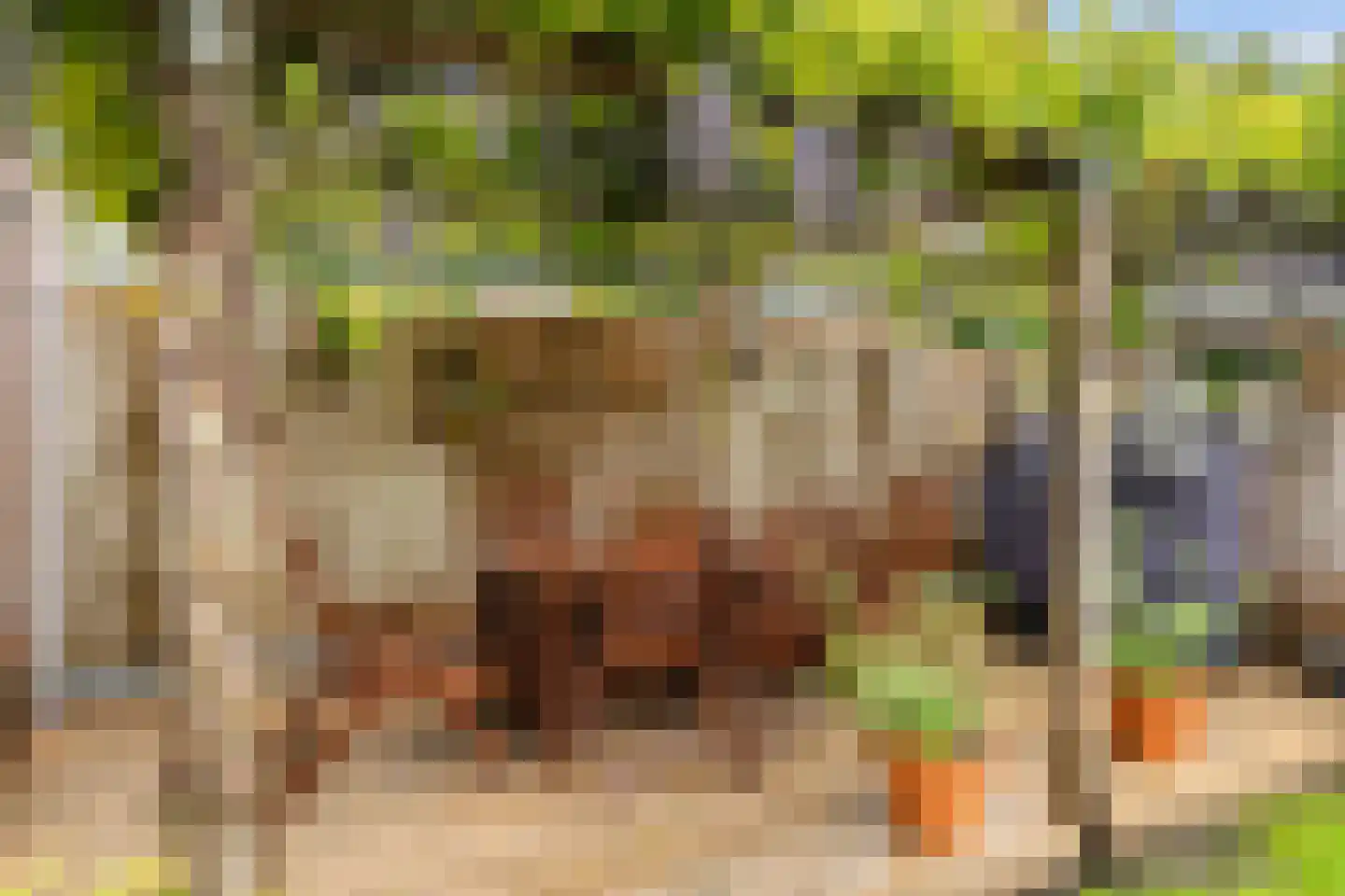 Elskamp 26 Dalfsen thumbnail 4
