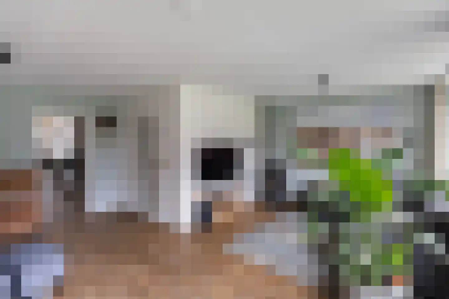 Elskamp 26 Dalfsen thumbnail 8