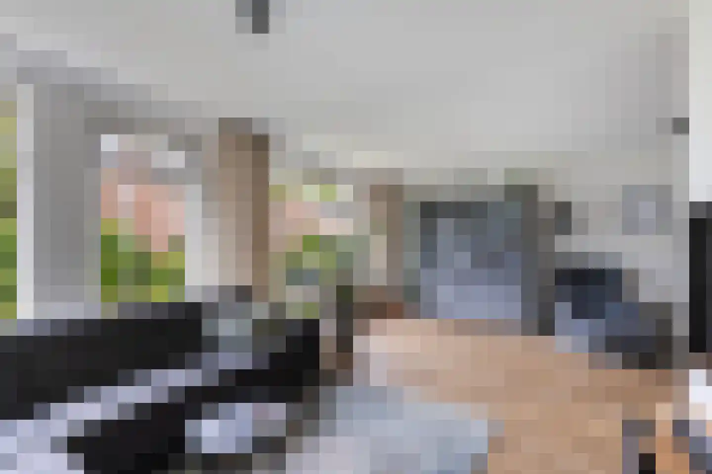 Elskamp 26 Dalfsen thumbnail 9