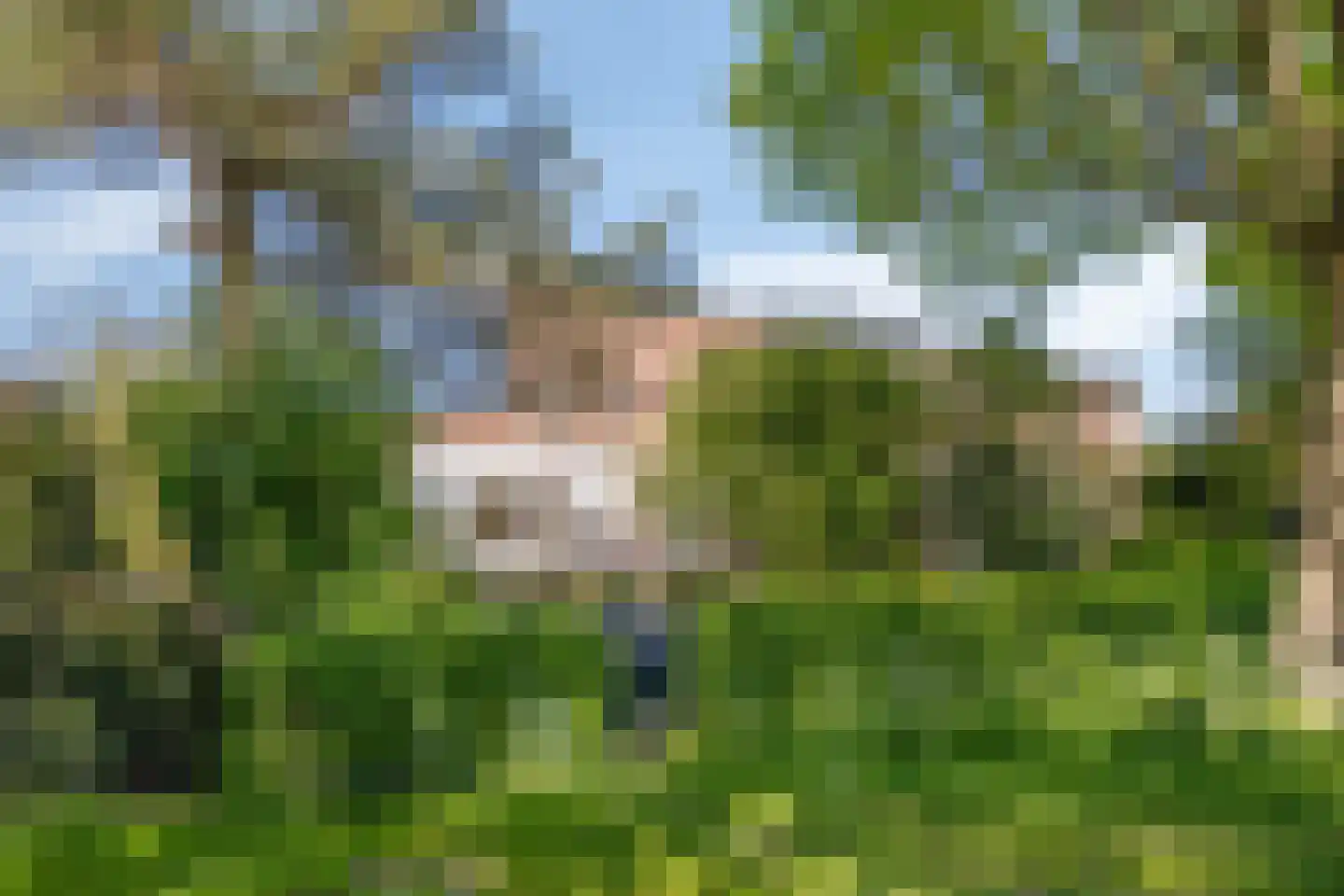 Elskamp 3 Odijk thumbnail 14