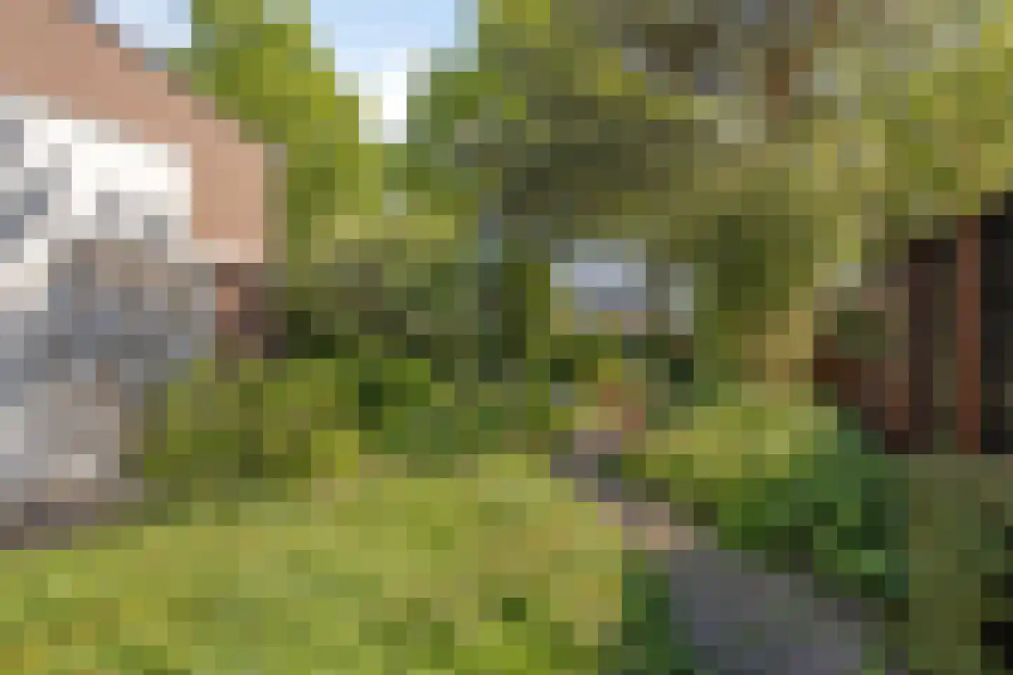 Elskamp 3 Odijk thumbnail 27