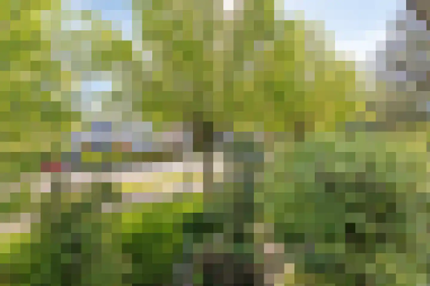 Elskamp 3 Odijk thumbnail 28