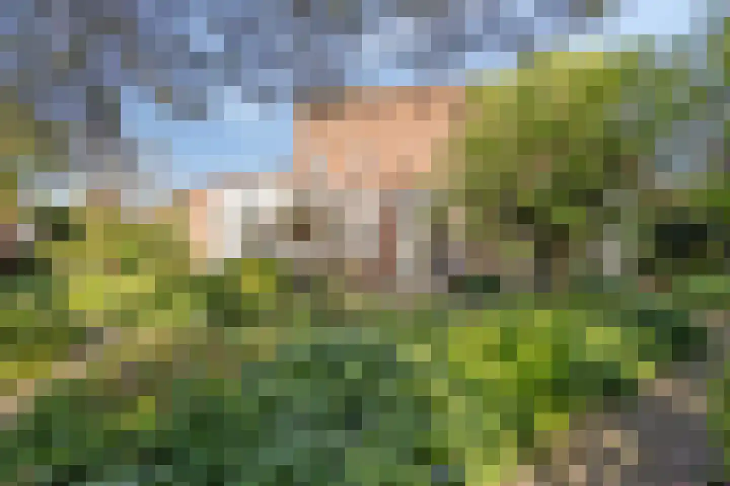 Elskamp 3 Odijk thumbnail 29