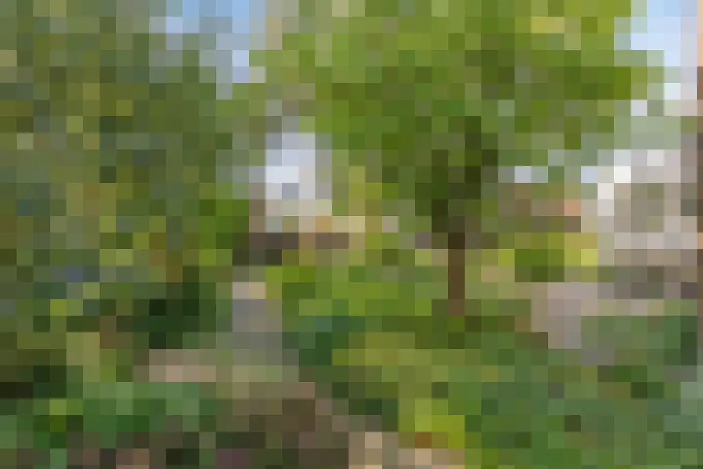 Elskamp 3 Odijk thumbnail 31