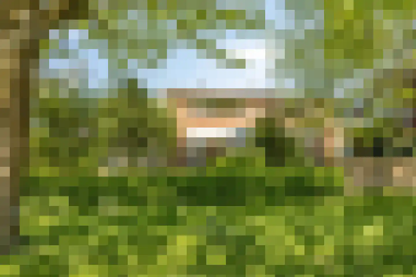 Elskamp 3 Odijk thumbnail 37