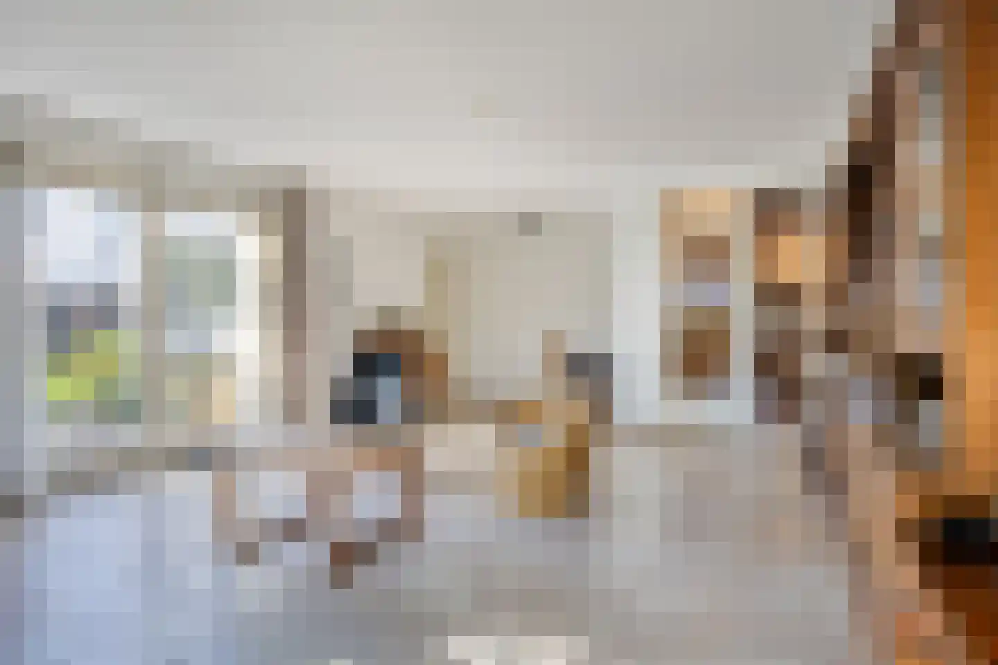 Elskamp 3 Odijk thumbnail 5