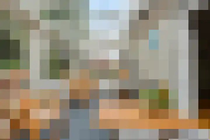 Elskamp 34 Dalfsen thumbnail 17
