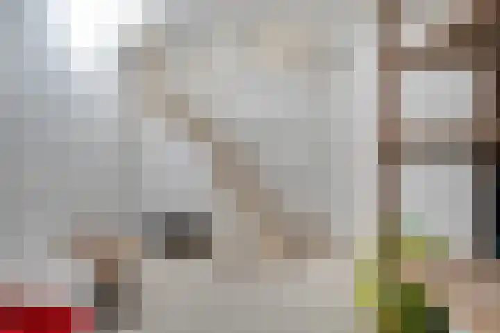 Elskamp 34 Dalfsen thumbnail 20