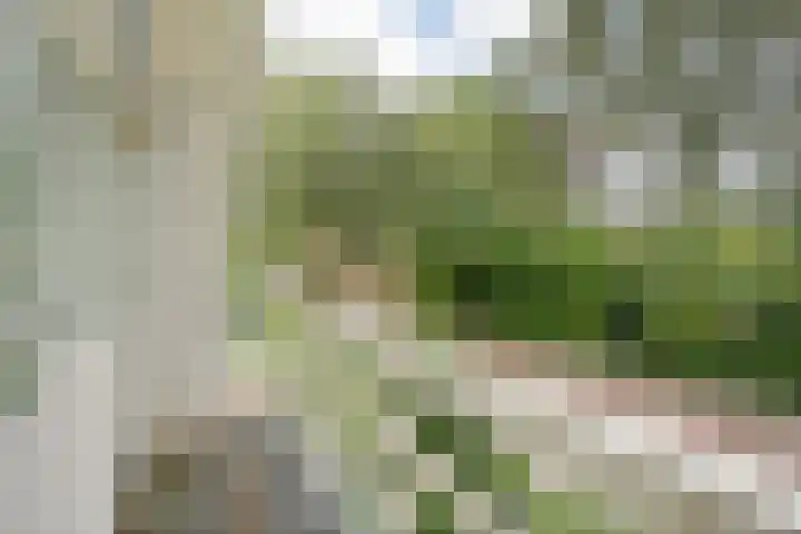 Elskamp 34 Dalfsen thumbnail 23