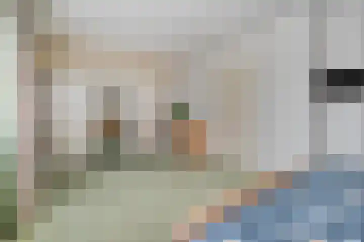 Elskamp 34 Dalfsen thumbnail 24