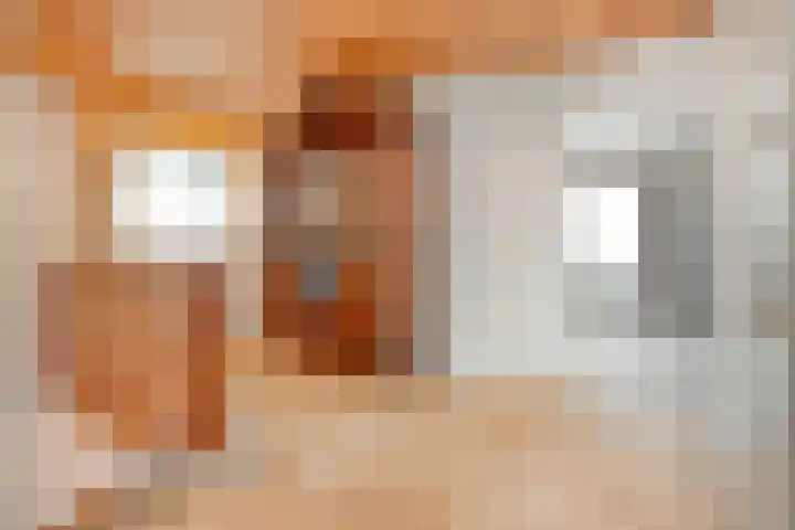 Elskamp 34 Dalfsen thumbnail 25