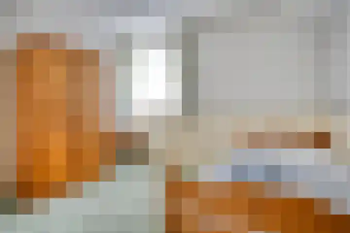 Elskamp 34 Dalfsen thumbnail 27
