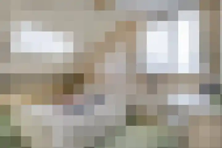 Elskamp 34 Dalfsen thumbnail 28