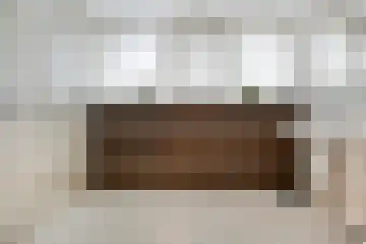 Elskamp 34 Dalfsen thumbnail 30