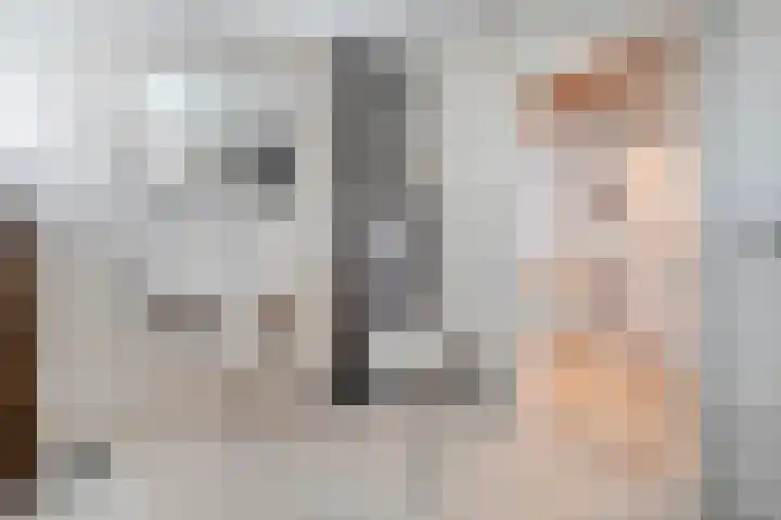 Elskamp 34 Dalfsen thumbnail 31