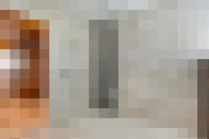 Elskamp 34 Dalfsen thumbnail 32