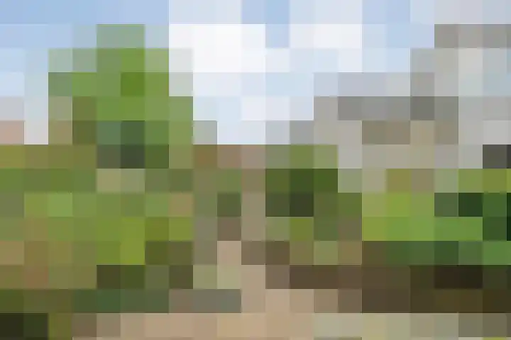 Elskamp 34 Dalfsen thumbnail 33
