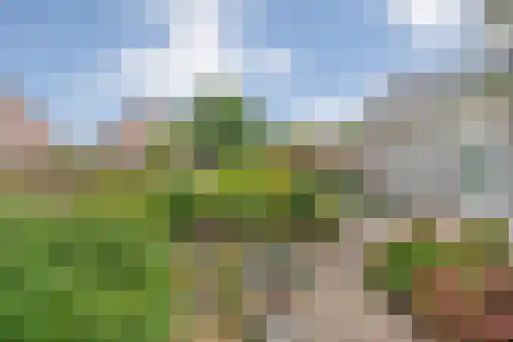 Elskamp 34 Dalfsen thumbnail 34