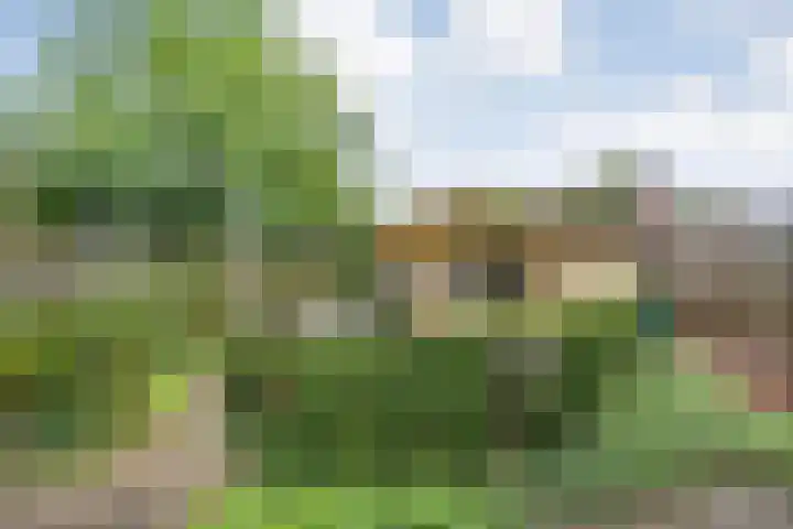 Elskamp 34 Dalfsen thumbnail 35