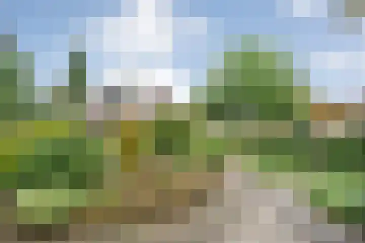Elskamp 34 Dalfsen thumbnail 36